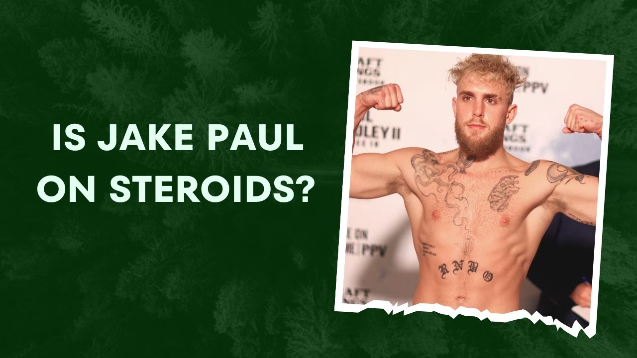 Is Jake Paul On Steroids