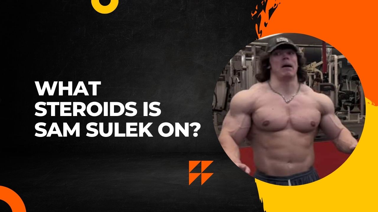 What Steroids Is Sam Sulek On